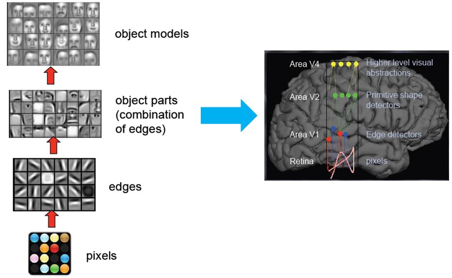 deep learning技术示意图(图片来自互联网)