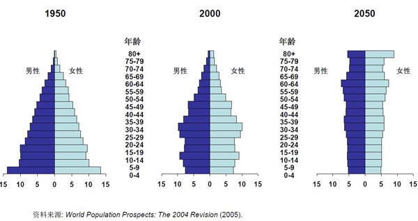 中国 人口结构_2035年中国人口结构