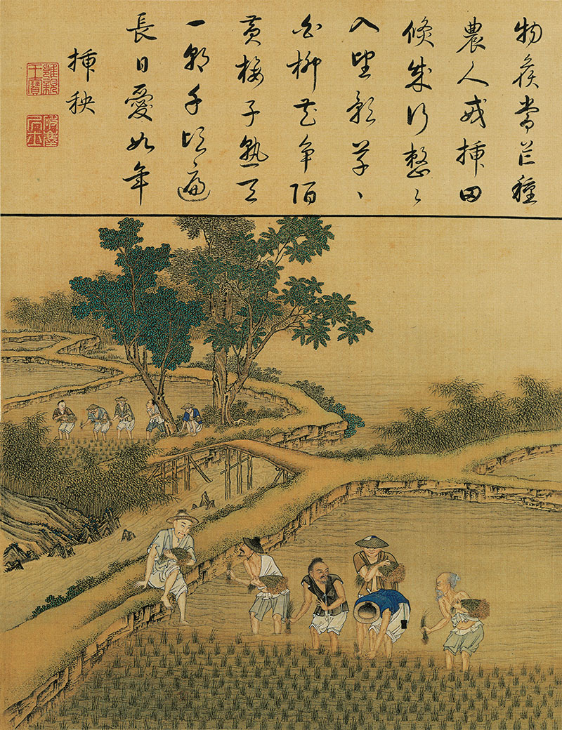 雍正耕织图及释文-插秧