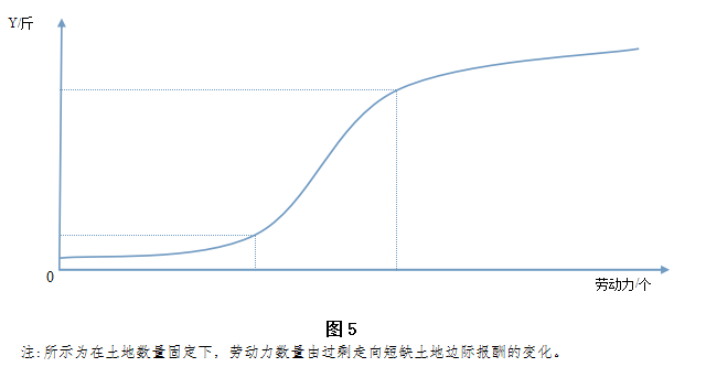 封建王朝GDP_中国封建王朝经济体系最后辉煌的体现(2)