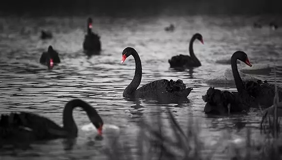 2019年经济疲软_...原油展望:美国经济动力疲软以及全球需求下滑共同作用,整体油价...